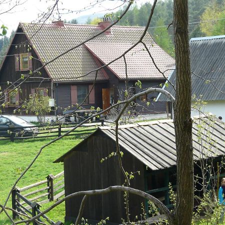 Apartament Salamandra Krempna Zewnętrze zdjęcie