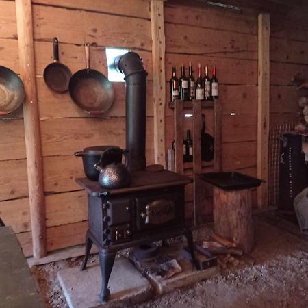 Apartament Salamandra Krempna Zewnętrze zdjęcie