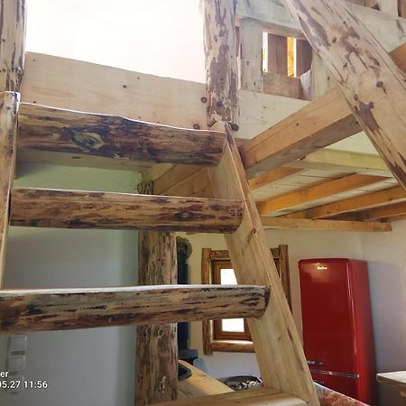 Apartament Salamandra Krempna Zewnętrze zdjęcie