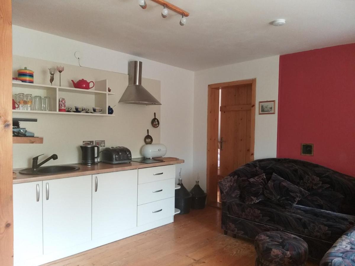 Apartament Salamandra Krempna Zewnętrze zdjęcie