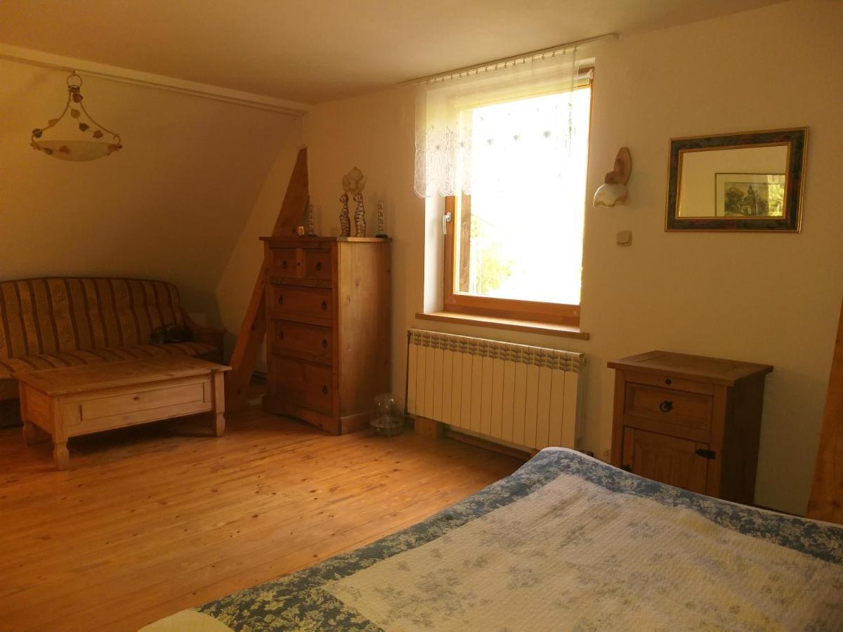 Apartament Salamandra Krempna Zewnętrze zdjęcie
