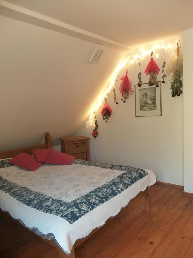 Apartament Salamandra Krempna Zewnętrze zdjęcie