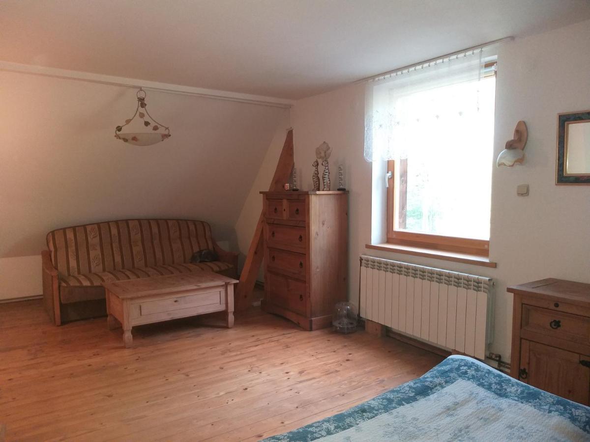 Apartament Salamandra Krempna Zewnętrze zdjęcie