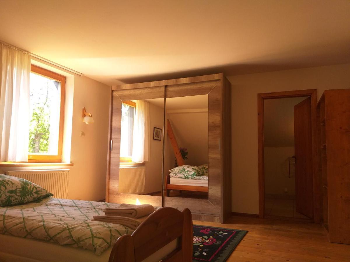 Apartament Salamandra Krempna Zewnętrze zdjęcie