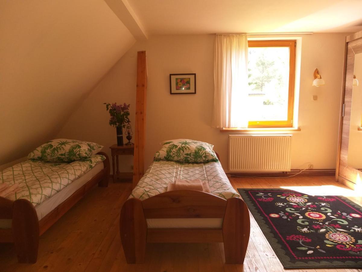 Apartament Salamandra Krempna Zewnętrze zdjęcie