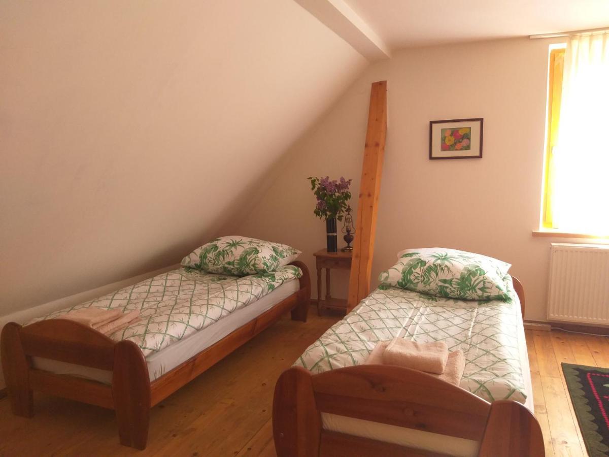 Apartament Salamandra Krempna Zewnętrze zdjęcie