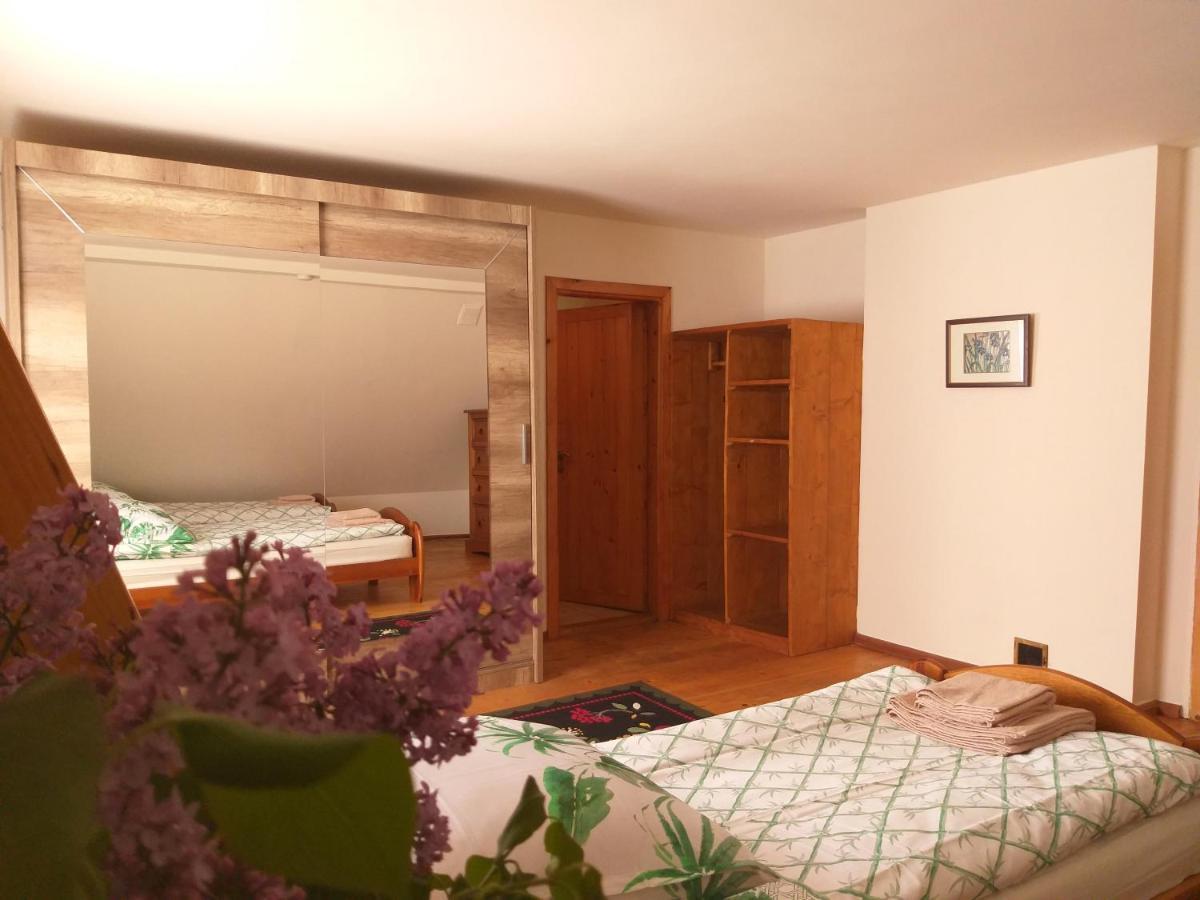 Apartament Salamandra Krempna Zewnętrze zdjęcie