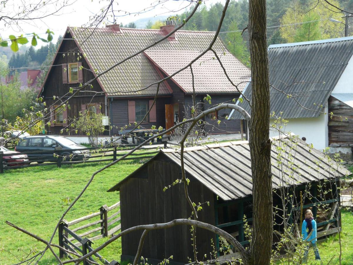 Apartament Salamandra Krempna Zewnętrze zdjęcie